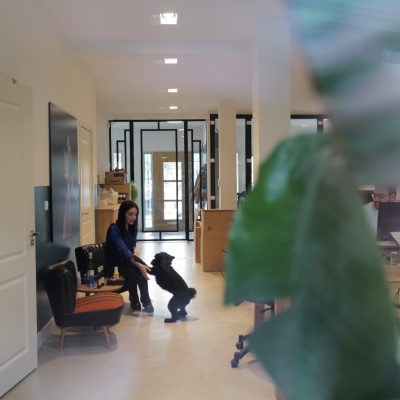 WhatsApp Image 2025-10-13 at 14.46.03_b777f6f7